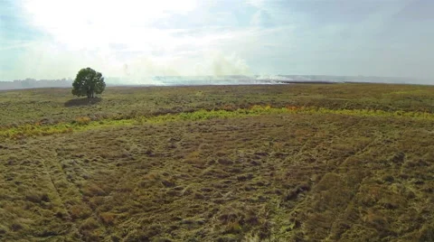 Flying over the field in the direction a fire. Aerial Stock Footage 41976709