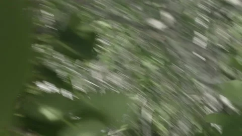 Flying Over Field Drone Got Stuck In A Tree Aerial DLOG Stock Footage 139072004