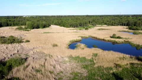 Flying over a field with dry grass and a pond Stockbeeldmateriaal 154950909