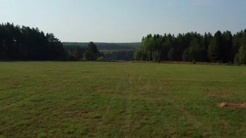 Flying over the field during the day Stock Footage 214293897