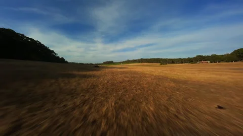 Flying over the field during the day Stock Footage 243728448