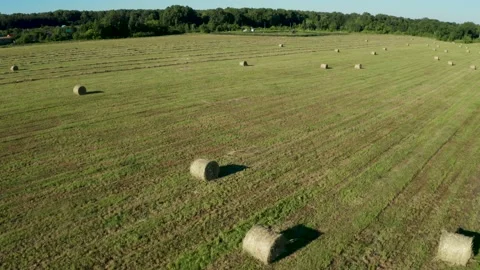 Flying over a field on a farm. The collected hay bales are stacked in the field/ Stockbeeldmateriaal 141675239