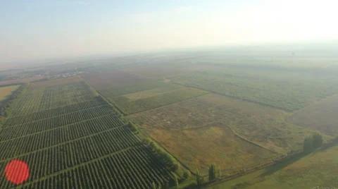 Flying over the field 動画素材 38607016