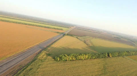 Flying over the field 動画素材 38607758