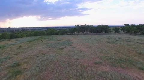 Flying over the field Stock Footage 62256312
