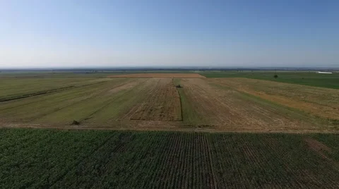 Flying over the field Stock Footage 67241336