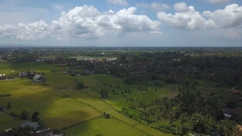 Flying over the field Stock Footage 99616271