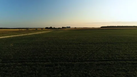 Flying over field Stock Footage 115317476