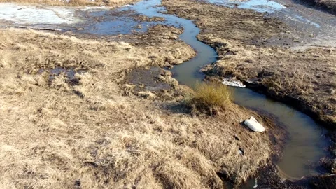 Flying over a field Stock Footage 152167806
