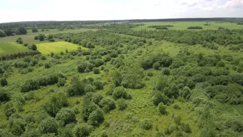 Flying over the field Stock Footage 155971020
