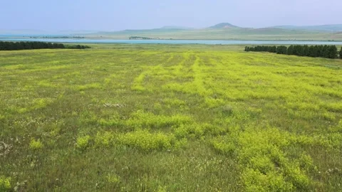 Flying over a field 库存影片 163331149