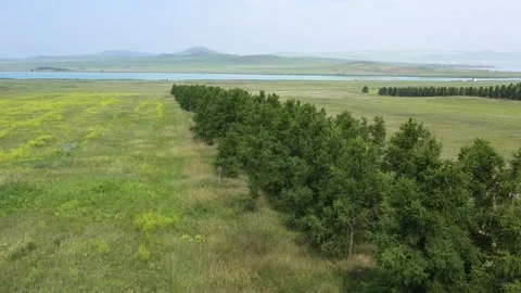 Flying over a field  Stock-Footage 163331188