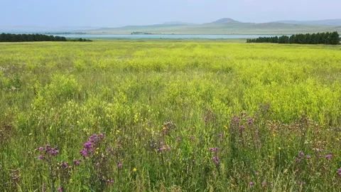 Flying over a field  库存影片 163331210