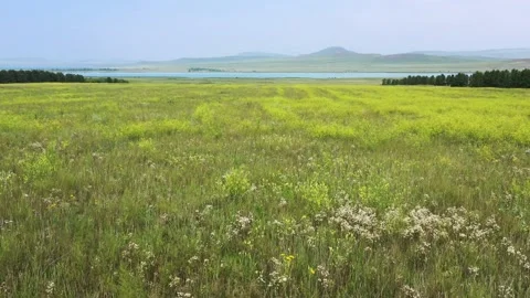 Flying over a field  库存影片 163331215