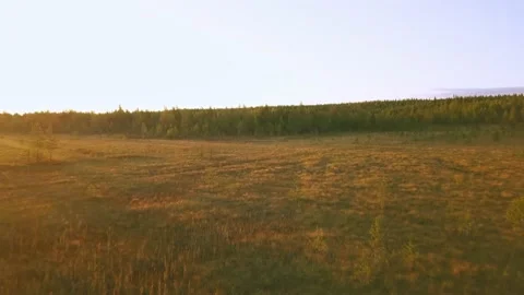 Flying over a field, forest and stream at sunset2 Video stock 169448727