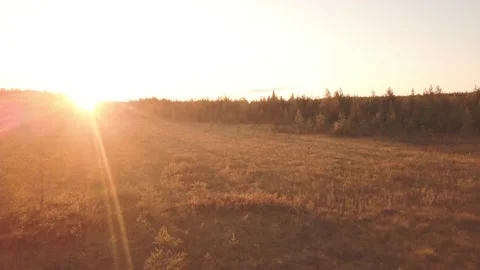 Flying over a field, forest and stream at sunset3 Video stock 169451163