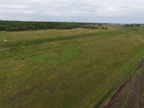 Flying over the field to the forest at low altitude Stock Footage 70347589