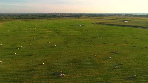 Flying over field full of haystack Stock Footage 153333869