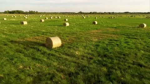 Flying over field full of haystack Stock Footage 153333879