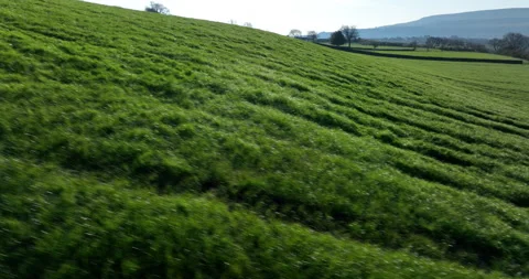 Flying over a field of grass Stock Footage 204971702