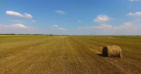 Flying over a field with haystacks Video stock 92223828