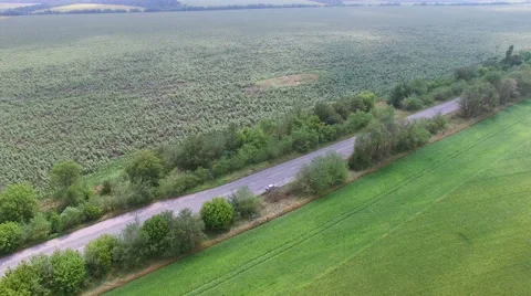 Flying over the field from the highway Vidéo 65530498