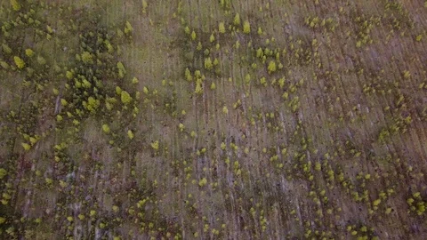Flying over field landscape and road with no cars Stock Footage 102018782