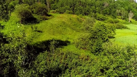 Flying over the field from left to right 動画素材 136422795