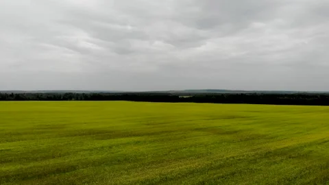 Flying over a field of rapeseed 库存影片 243889906