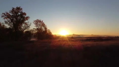 Flying over the field in the rays of dawn towards the sun Stock Footage 224854278