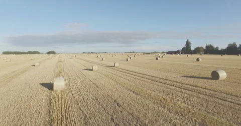 Flying over the field with round hay bales Stock Footage 54993036