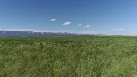 Flying over field toward mountains Stock Footage 194164774