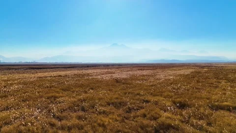 Flying over the field towards the large mountain Stock Footage 293596386
