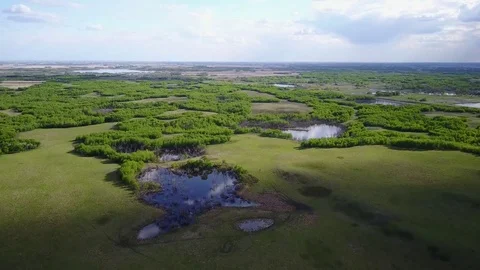 Flying over a field with trees and ponds. Stock Footage 77719920
