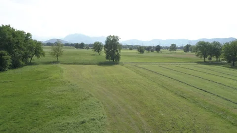 Flying over a field with trees. Drone view Stock Footage 266782668