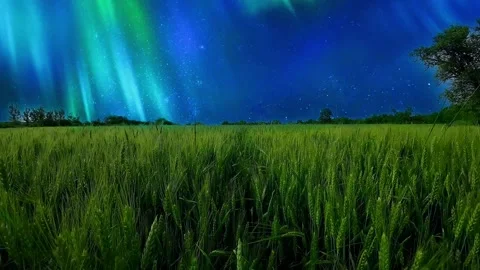 Flying over a field of wheat against a surreal sky Stock Footage 277227208