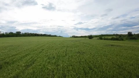 Flying over a field of wheat against a surreal sky Stock Footage 277227380