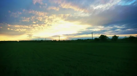 Flying Over A Field Of Wheat Stock-Footage 63186898
