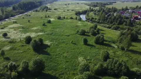 Flying over a field with white flowers Stock Footage 157900965