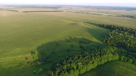 Flying Over Fields And Forest Stock Footage 41070693