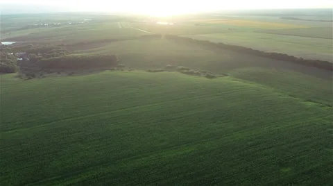 Flying Over Fields And Forest On Sunset Stock Footage 41071039