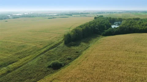 Flying over fields and forest 動画素材 44323429