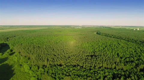 Flying over fields and forest 스톡 동영상 51445629