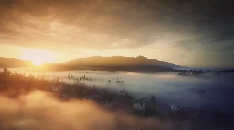 Flying over the fields and forest at sunrise through the fog aerial Stock-Footage 52531660