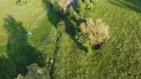 Flying over fields and a lake in perfect sunset-light Video stock 155987386