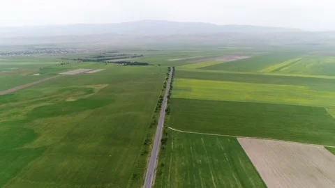 Flying over fields and road Stock-Footage 161075394