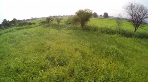 Flying over the fields, arable land. shooting with the drone Stock-Footage 63074351