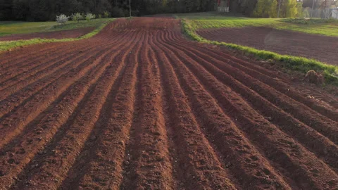 Flying over the fields, arable land. 库存影片 136129895