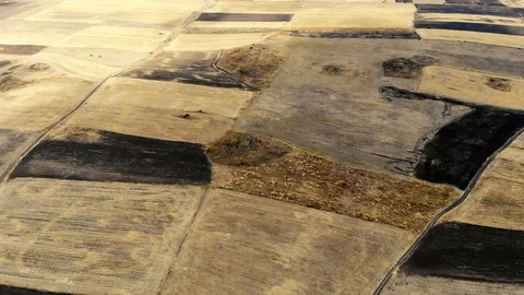 Flying over fields devastated by drought Stockbeeldmateriaal 95541991