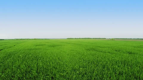 Flying over fields Video stock 38039094